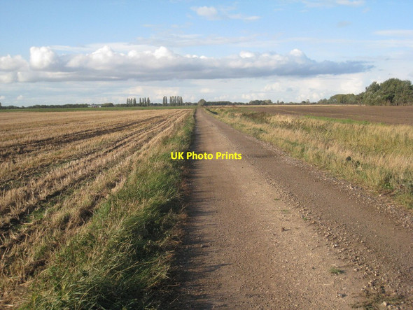 Photo 6"x4" Farm track near Cattle Farm Misterton\/SK7694 c2011