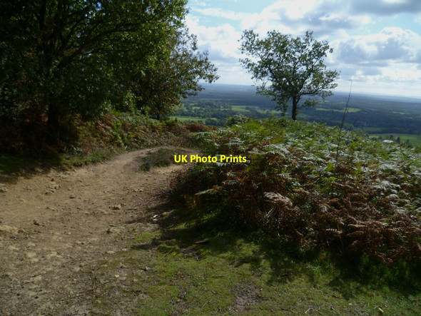 Photo 6"x4" Looking south east from the top of Pitch Hill Peaslake c2011