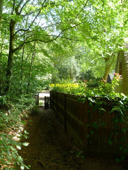 Photo 6"x4" The Greensand Way descends to Mill Hollow in the Hurtwood Peaslake c2011