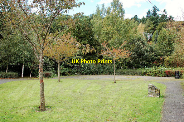 Photo 6"x4" D-Day commemorative trees, Innerleithen Innerleithen c2011