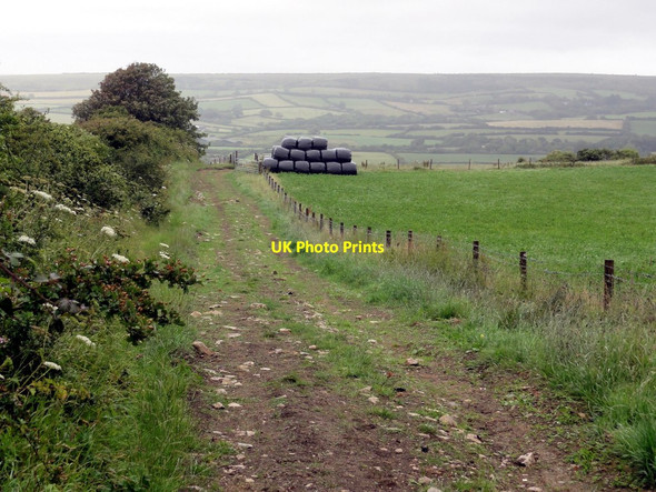 Photo 6"x4" Bridleway and Farm Track Acton\/SY9878 c2011
