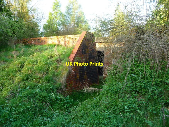 Photo 6"x4" Newton Stacey - Ammunition Magazine Newton Stacey c2011
