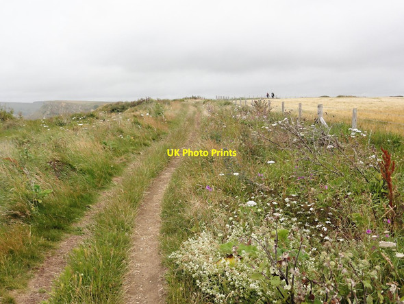 Photo 6"x4" Coast Path along Emmetts Hill Worth Matravers c2011