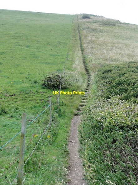 Photo 6"x4" Steps to St Aldhelm's Head Worth Matravers c2011