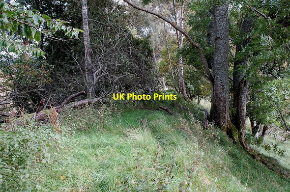 Photo 6"x4" Once a railway line ran here Bellspool c2011