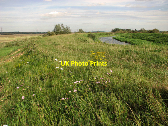 Photo 6"x4" Flowers on the Nar Valley Way, Setchey Setchey c2011