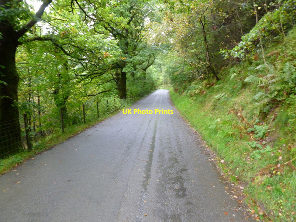 Photo 6"x4" Llwyn Madoc, country road Beulah\/SN9251 c2011