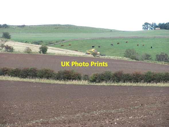 Photo 6"x4" Broomy Knowe East Horton c2011