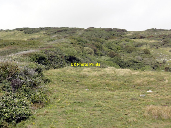 Photo 6"x4" Looking up the Coastal Slope Swanage c2011