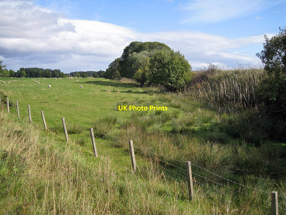 Photo 6"x4" Disused railway embankment Linnie c2011