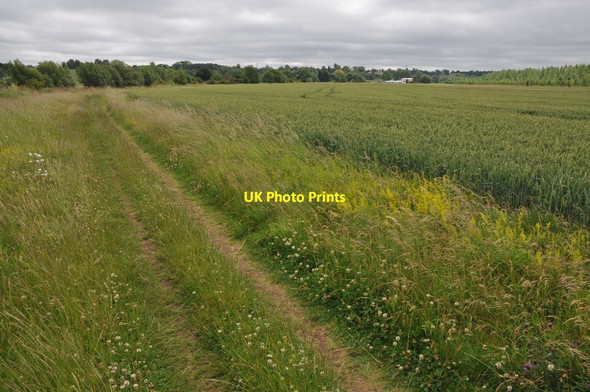 Photo 6"x4" The Thames Path near Radley Lower Radley c2011