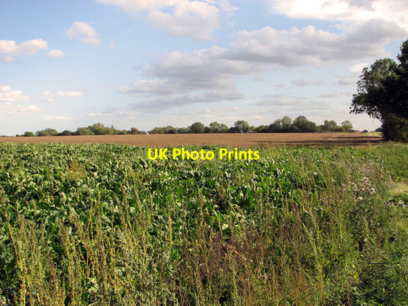 Photo 6"x4" Farmland south of Weybread Upper Weybread c2011