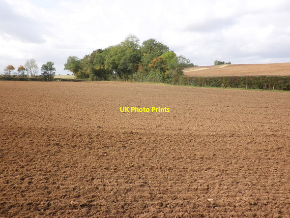 Photo 6"x4" Newly ploughed field, near Higher Comeytrowe Daw's Green c2011
