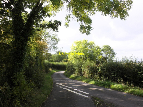 Photo 6"x4" Lane to West Buckland, near Lype Hill Middle Stoford c2011