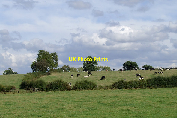 Photo 6"x4" Pasture north of Acton Trussell, Staffordshire Acton Trussell c2011 P1
