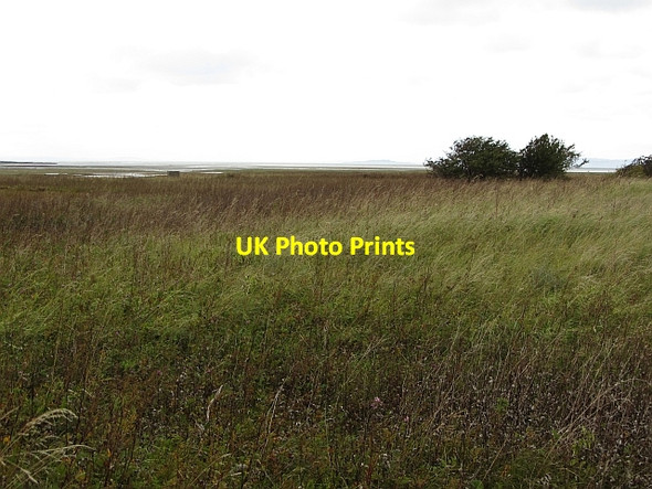 Photo 6"x4" Rough ground, Aberlady Bay Aberlady c2011
