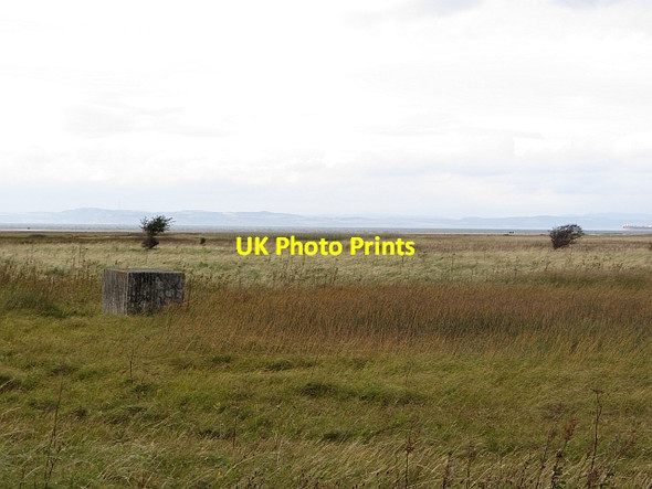 Photo 6"x4" Yellow Mires Aberlady c2011