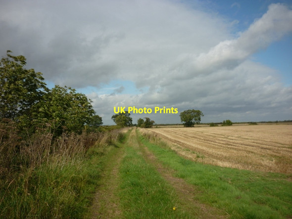 Photo 6"x4" A path leading to Park Lane Meaux c2011