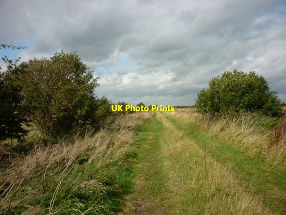 Photo 6"x4" A path leading to Park Lane Meaux c2011 P3