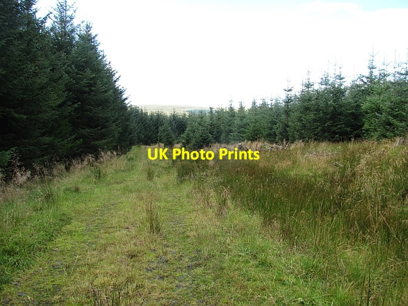 Photo 6"x4" Carron  Valley Forest River Carron\/NS6684 c2011