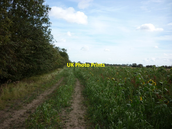 Photo 6"x4" A farm track leading to the Holderness Drain Weel c2011
