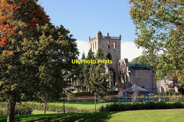 Photo 6"x4" Jedburgh Abbey Jedburgh c2011