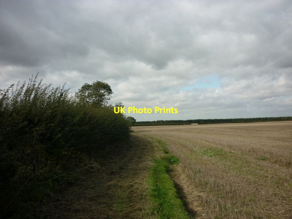 Photo 6"x4" A path leading to Corporation Farm Tickton c2011