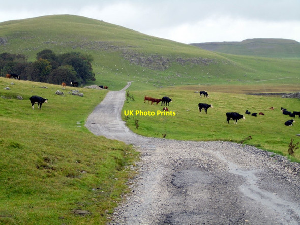 Photo 6"x4" Track north of Street Gate Water Houses\/SD8867 c2011