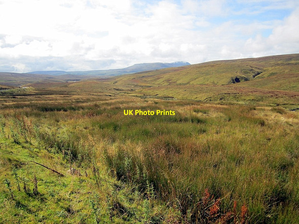 Photo 6"x4" Gayle Moor south of Newby Head Stone House\/SD7785 c2011