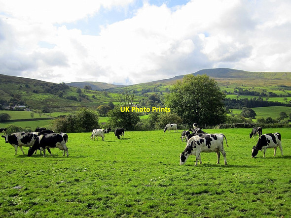 Photo 6"x4" Pasture near Bankland Dent\/SD7086 c2011