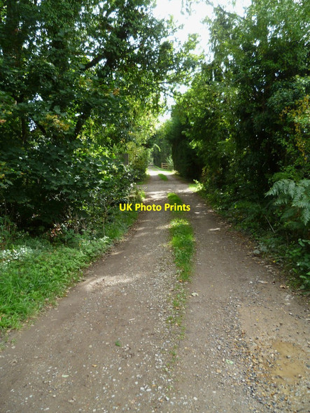 Photo 6"x4" Private drive near Rowly Rowly c2011