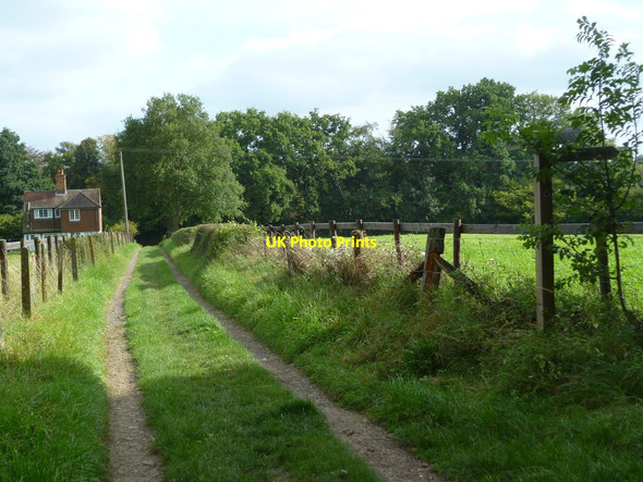 Photo 6"x4" Bridleway from Rowly Farm to the B2128 Rowly c2011