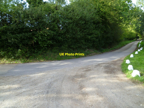 Photo 6"x4" Footpath reaches bridleway east of East Whipley Farm Grafham\/TQ0241 c2011