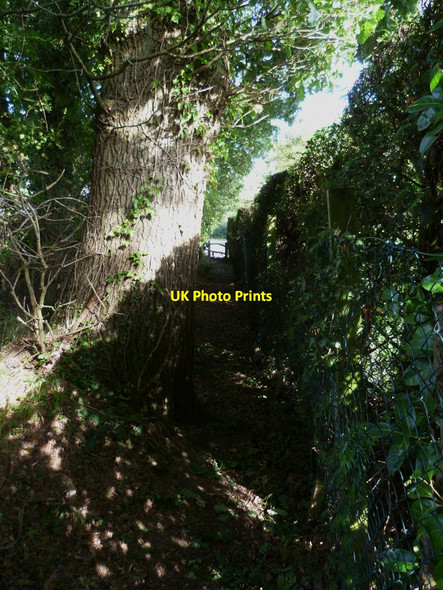 Photo 6"x4" A narrow point on the footpath going east to the B2128 Rowly c2011