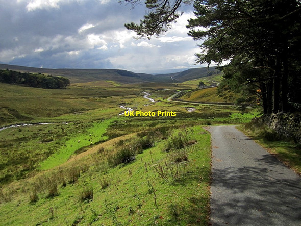 Photo 6"x4" Thornton Lane at Whiteside Wood Chapel-le-Dale c2011