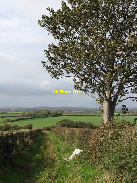Photo 6"x4" Field access lane leading from the Ballyedock Road Ardglass c2011