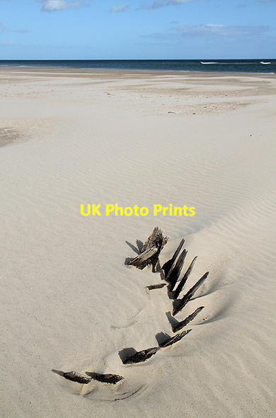 Photo 6"x4" The beach at Budle Bay Ross\/NU1337 c2011