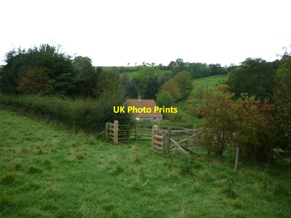 Photo 6"x4" Walking towards Cockerdale Farm Oldstead c2011