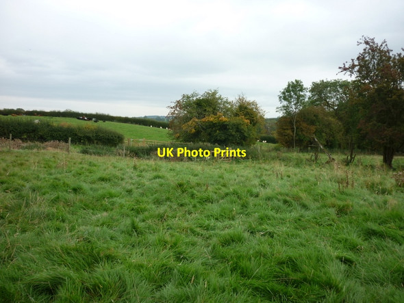Photo 6"x4" Crossing Town Pasture, Coxwold Coxwold c2011