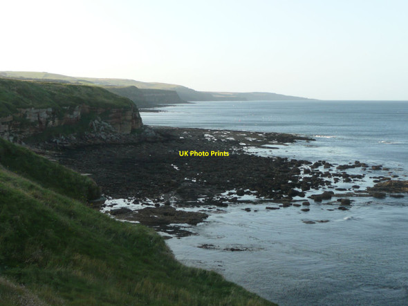 Photo 6"x4" On the Berwickshire Coastal Path Berwick-upon-Tweed c2011