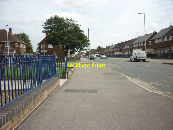 Photo 6"x4" Bilsdale Grove at Troutsdale Grove Marfleet c2011
