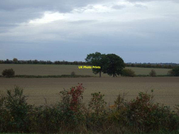 Photo 6"x4" Farmland, Foulby Foulby c2011