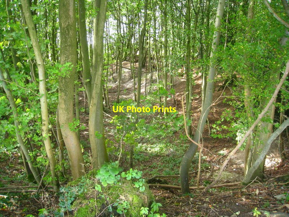 Photo 6"x4" Unmarked pit Newfound c2011