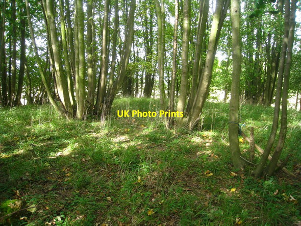 Photo 6"x4" Atop of White Barrow Newfound c2011