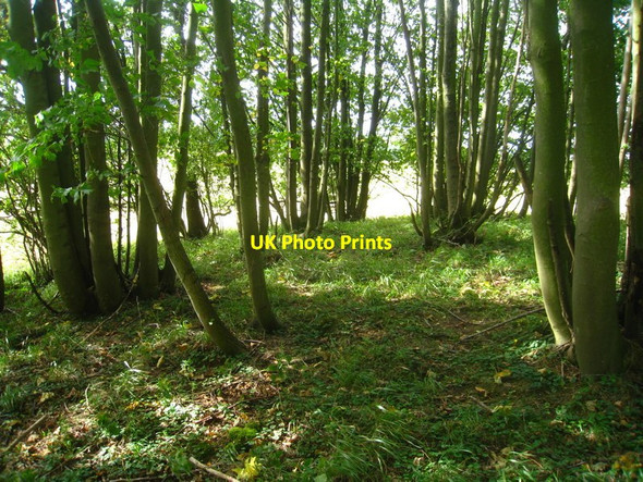 Photo 6"x4" White Barrow Newfound c2011