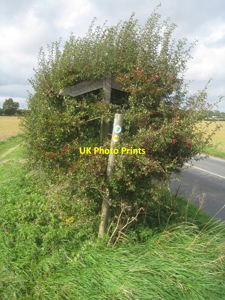 Photo 6"x4" Path signs on Pack Lane East Oakley c2011