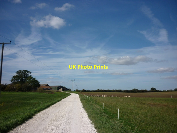 Photo 6"x4" A farm track leading to Arnold Carr Farm Arnold\/TA1241 c2011