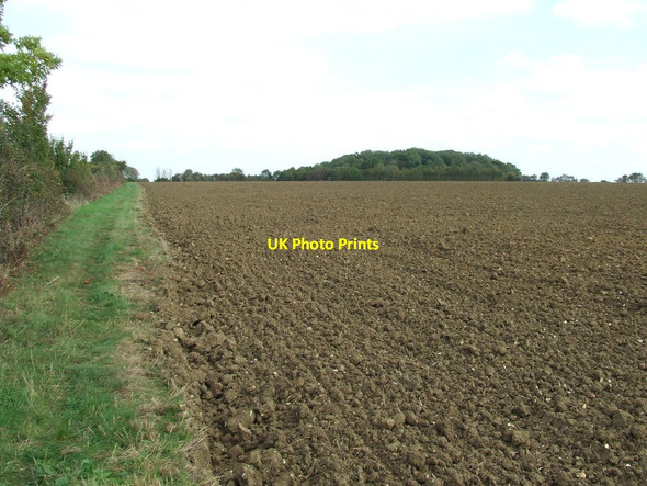 Photo 6"x4" St.Edmunds Way Hanningfields Green c2011