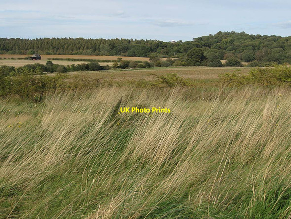 Photo 6"x4" View over East Moor Banks Crambeck c2011