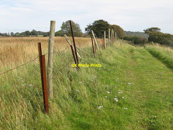 Photo 6"x4" Footpath East towards Hutton Hill Farm Crambeck c2011